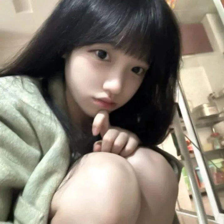 锤子与镰刀 (1994年电影)